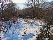 52 La traccia scende su dossi boscosi-erbosi anche innevati..